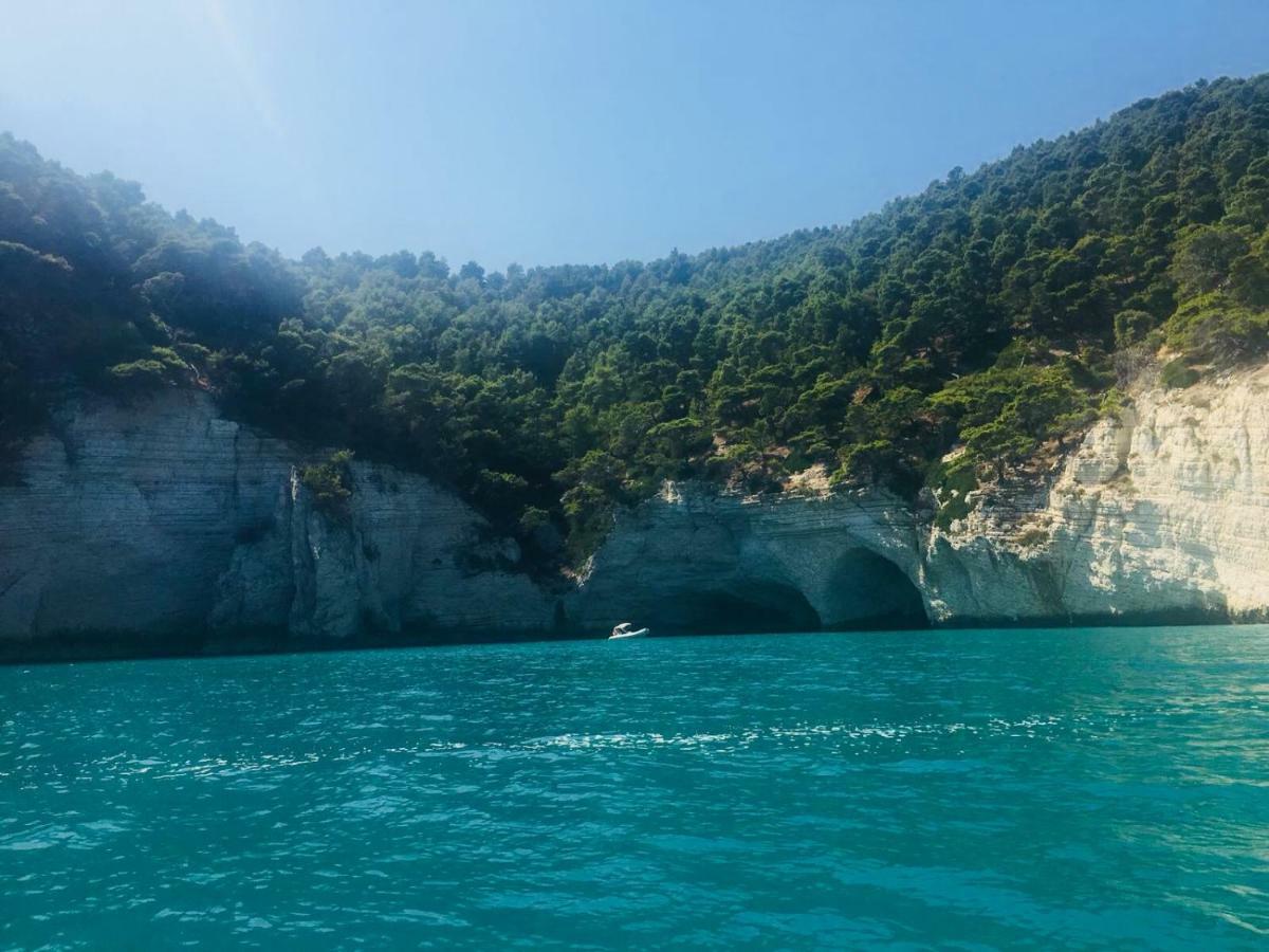 Villa Casa Michela à Vico Del Gargano Extérieur photo